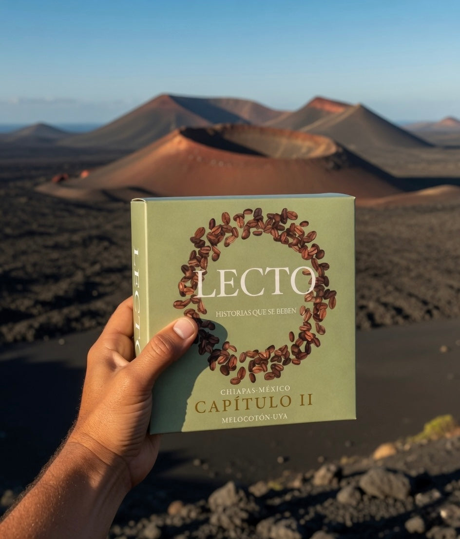 Capítulo ll