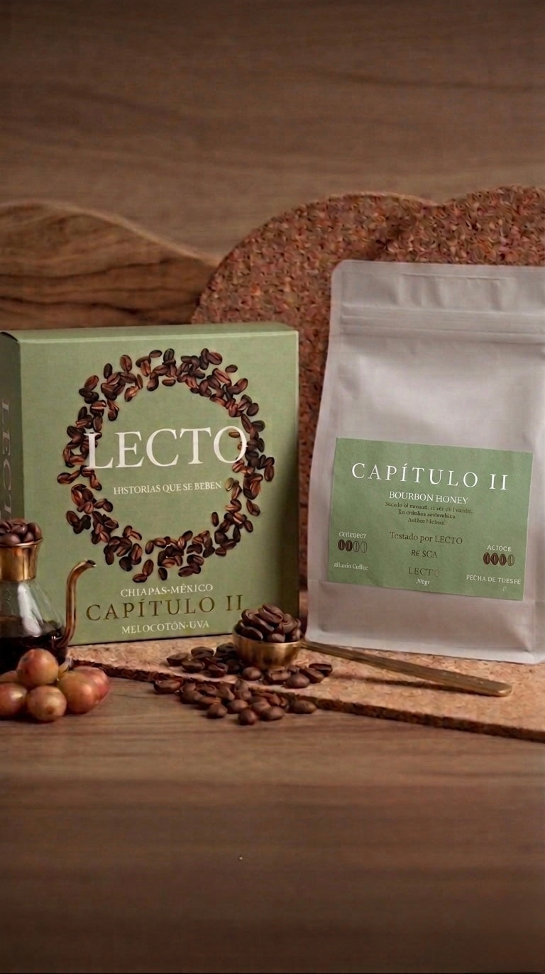 Capítulo ll